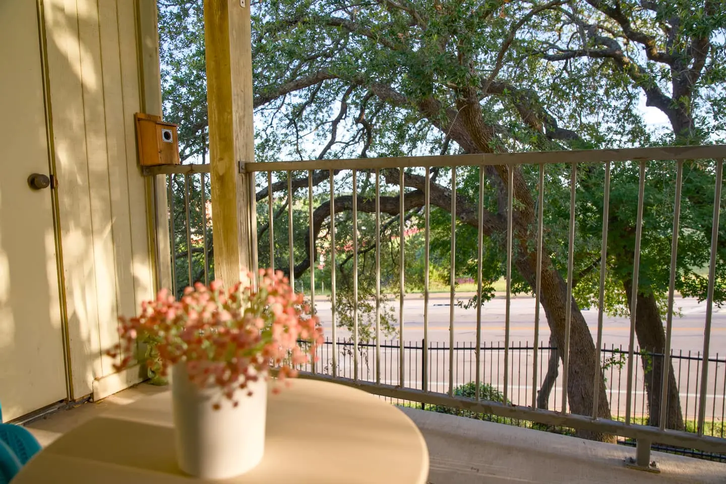 Balcony view of large live oak trees