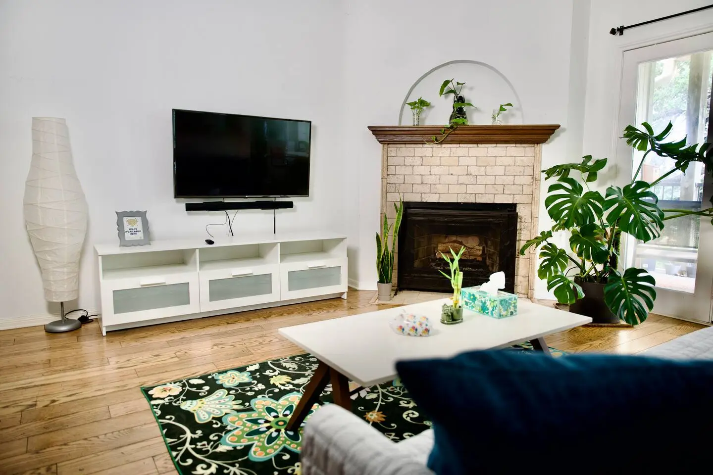 Fireplace and TV in the living room